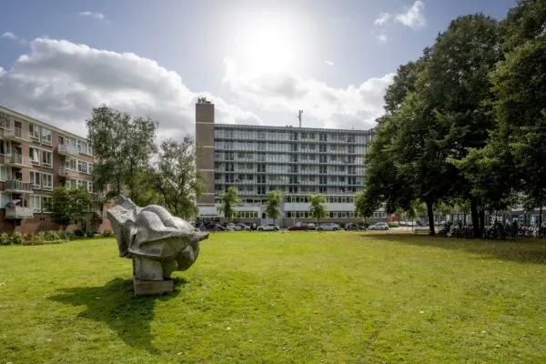 Beeld van een grasveld aan de Jan Tooropstraat met een abstract beeldhouwwerk op de voorgrond en flatgebouwen op de achtergrond.